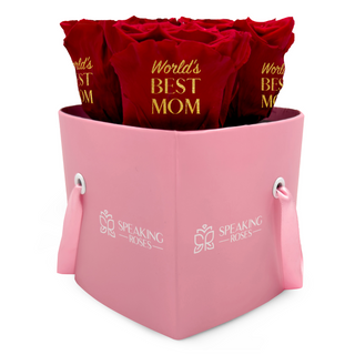 Amoura HS - World's BEST MOM