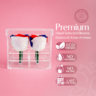 Luxara cua - America 250 Design- 4 Personalized Roses - 100% Real (Preserved-Eternal)