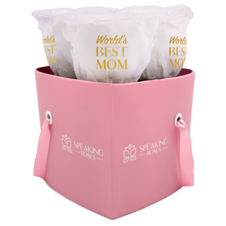 Amoura HS - World's BEST MOM