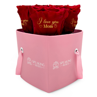 Amoura HS - I Love You (Heart) Mom (Heart)