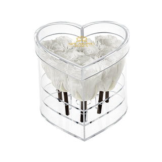 Lumira HZ - Wedding Collection
