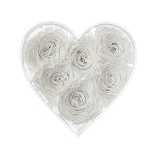 Lumira HZ - Romance Collection
