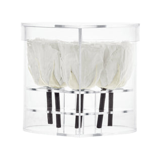 Lumira HZ - Happy Birthday Collection