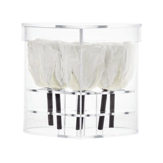 Lumira HZ - Anniversary Collection