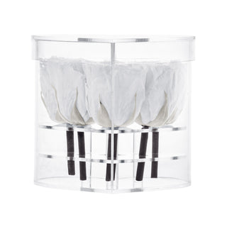 Lumira HZ - Funeral Collection