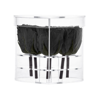 Lumira HZ - Funeral Collection