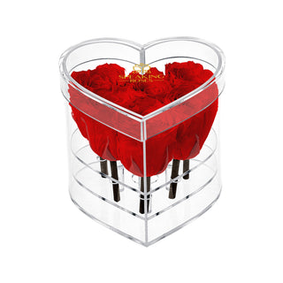 Lumira HZ - Romance Collection