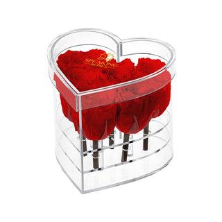 Lumira HZ - Romance Collection