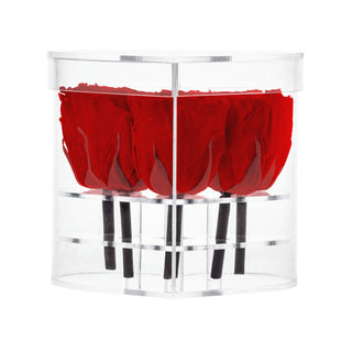 Lumira HZ - Heart Collection