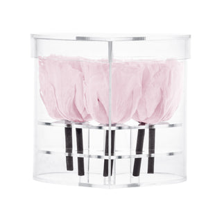 Lumira HZ - Funeral Collection