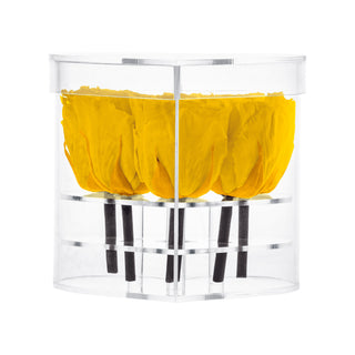 Lumira HZ - Funeral Collection
