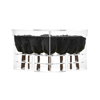 Lumira HO - Funeral Collection