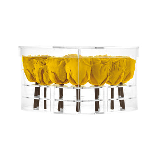 Lumira HO - Funeral Collection