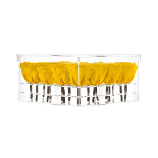 Lumira HD - Funeral Collection