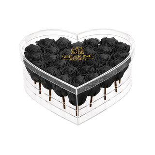 Lumira HD - Funeral Collection