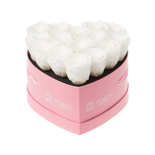 Amoura HM - Happy Birthday Collection