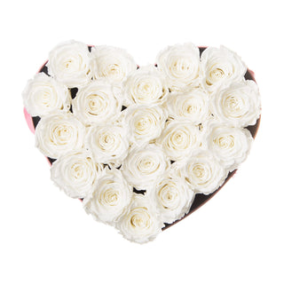 Amoura ML - Romance Collection