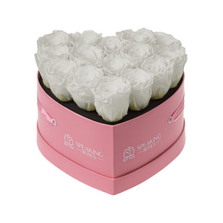 Amoura HM - Funeral Collection