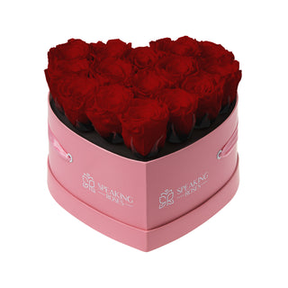 Amoura HM - Funeral Collection
