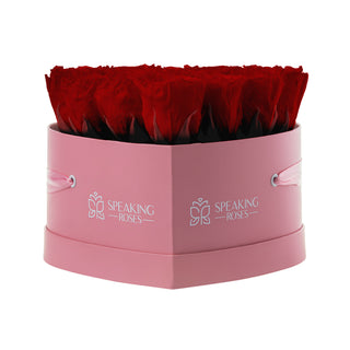 Amoura HM - Funeral Collection