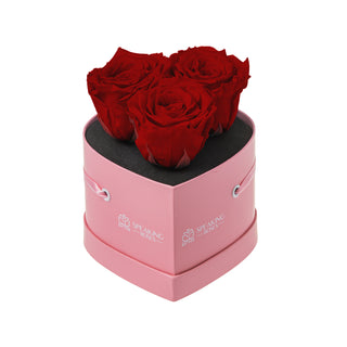 Amoura HS - Funeral Collection