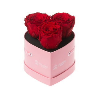 Amoura HS - Romance Collection