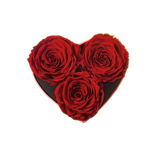 Amoura HS - Romance Collection