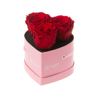 Amoura HS - Wedding Collection