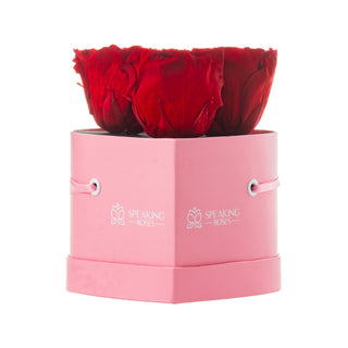 Amoura HS - Wedding Collection