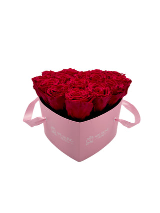 Heart Paper Box  (15 Preserved Heads)
