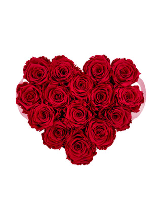 Heart Paper Box  (15 Preserved Heads)
