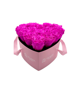 Heart Paper Box  (15 Preserved Heads)