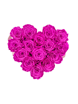 Heart Paper Box  (15 Preserved Heads)