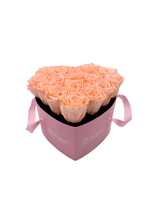 Heart Paper Box  (15 Preserved Heads)