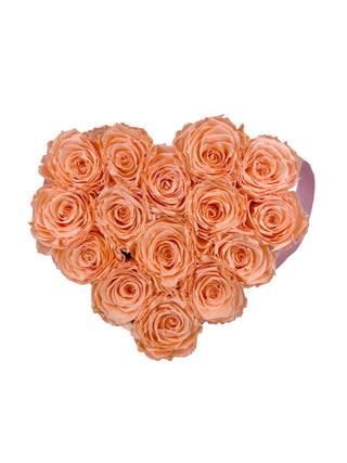 Heart Paper Box  (15 Preserved Heads)