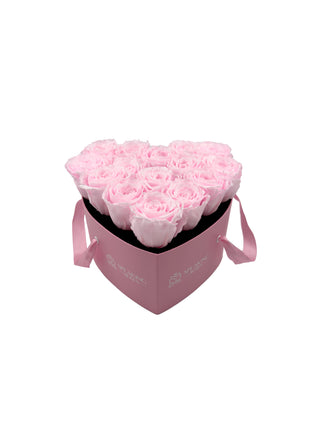 Heart Paper Box  (15 Preserved Heads)