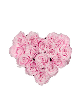 Heart Paper Box  (15 Preserved Heads)