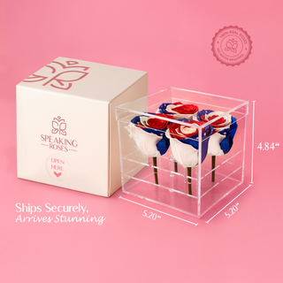 Luxara cua - America 250 Design- 4 Personalized Roses - 100% Real (Preserved-Eternal)