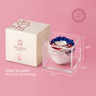 Equoria - America 250 Design- Personalized Rose - 100% Real (Preserved-Eternal)