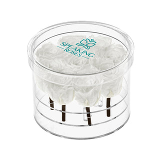 Acrisse Nue - Funeral Collection