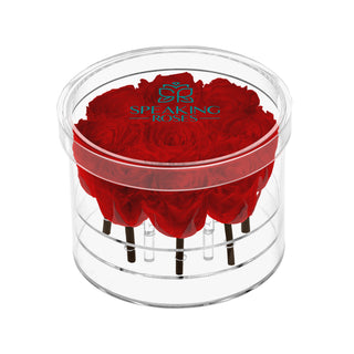 Acrisse Nue - Funeral Collection