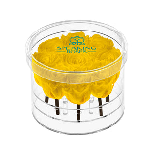 Acrisse Nue - Funeral Collection