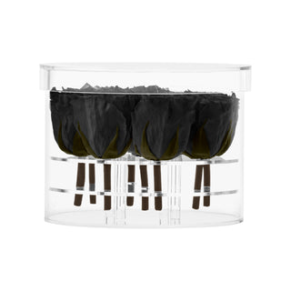 Acrisse Nue - Funeral Collection
