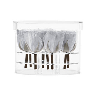 Acrisse Nue - Funeral Collection