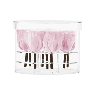 Acrisse Nue - Funeral Collection