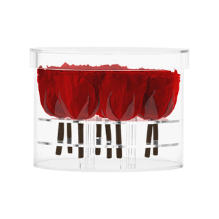 Acrisse Nue - Funeral Collection