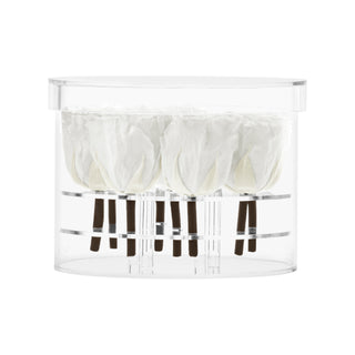Acrisse Nue - Funeral Collection
