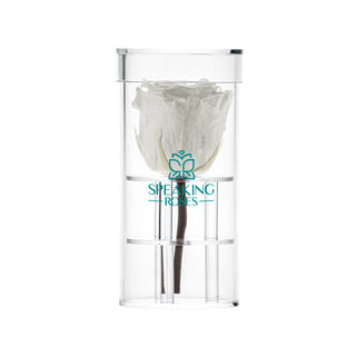 Acrisse One - Funeral Collection