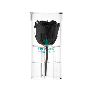 Acrisse One - Funeral Collection