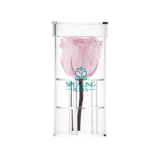 Acrisse One - Funeral Collection